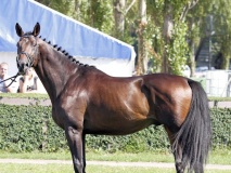 QUINTAR