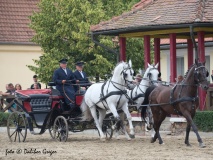 ČT | *2015 | 181-171-195-23