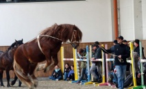 Neron