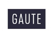 E-aukce
