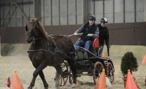 Zimní jezdecký pohár 2018 - SPŘEŽENÍ