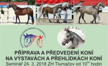 Školení: Příprava a předvedení koní na výstavách a přehlídkách
