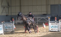 Zimní jezdecký pohár 2019 - SPŘEŽENÍ