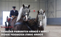 Přehlídka plemenných hřebců a školení vedoucích smluvních stanic