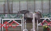 Základní zkoušky výkonnosti 3-letých klisen 2019