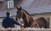 Účast na akci: II. předvýběr hřebců pro PK ČT