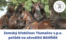 Kompletní závody spřežení CAN2*