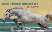 Jarní třídění hřebečků v testační odchovně ČT
