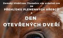 Přehlídka plemenných hřebců a den otevřených dveří Zemského hřebčince Tlumačov 2020