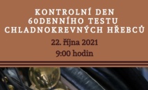 Kontrolní den 60denního testu chladnokrevných hřebců 2021