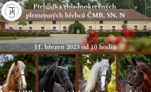 Přehlídka plemenných hřebců pro připouštěcí sezónu 2023