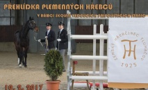 Prezentace plemenných hřebců, školení vedoucích smluvních stanic