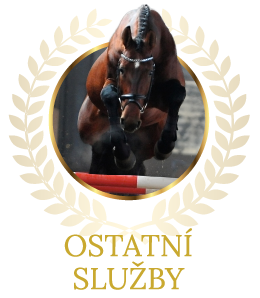 ostatní služby